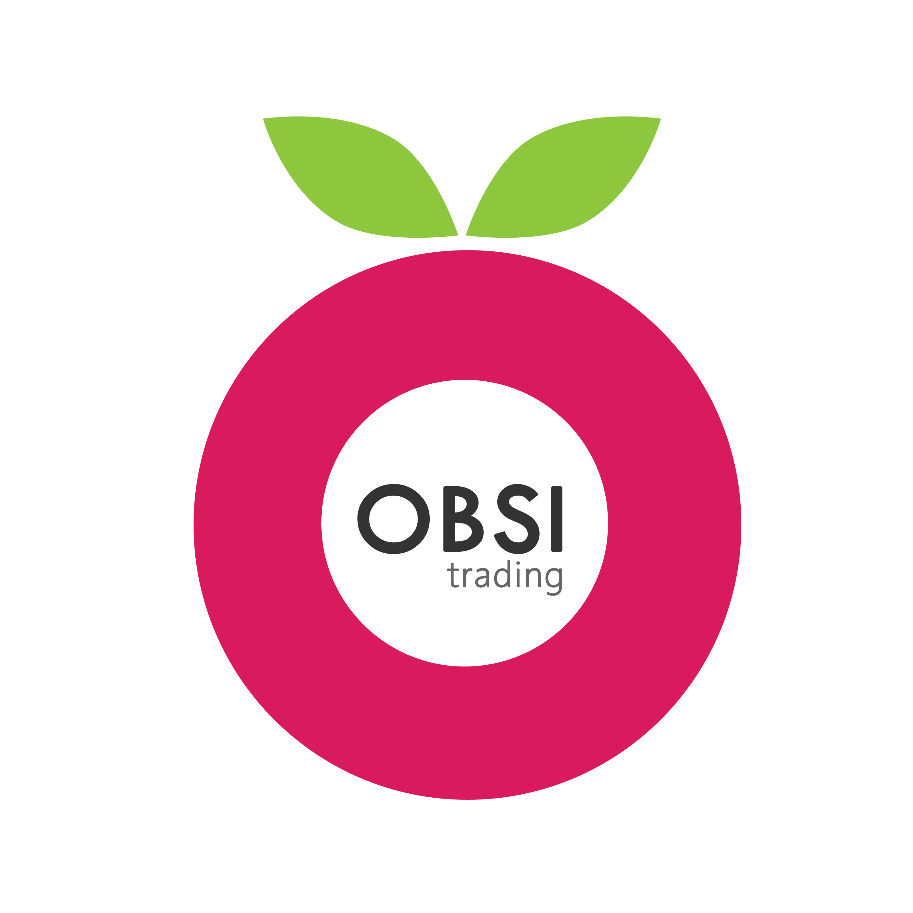 Obsidian Group